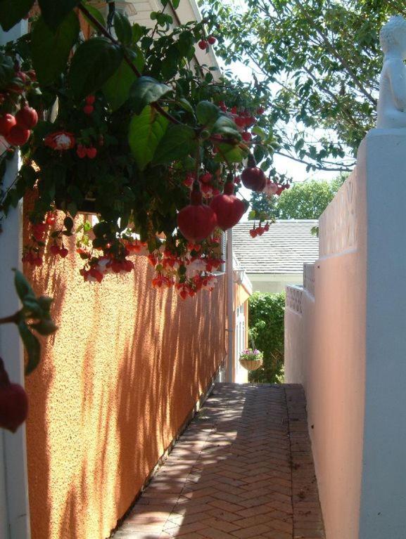 Grockle Nook Holiday Apartment Brixham Buitenkant foto